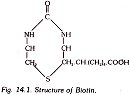 Structure of Biotin