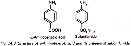 Structure of p-Aminobenzoic Acid and its Antagonist Sulfanilamide