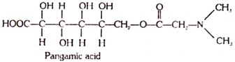 Pangamic Acid