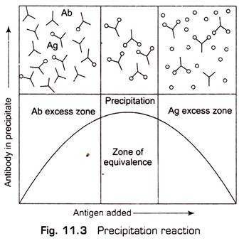 Precipitation Reaction